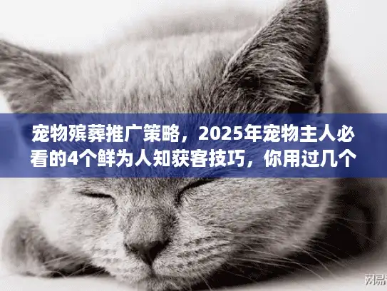 宠物殡葬推广策略,2025年宠物主人必看的4个鲜为人知获客技巧,你用过几个? 宠物殡葬推广策略,2025年宠物主人必看的4个鲜为人知获客技巧,你用过几个?