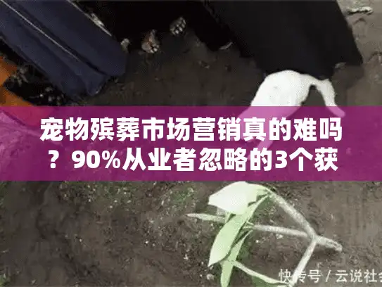 宠物殡葬市场营销真的难吗？90%从业者忽略的3个获客秘诀（附真实转化数据）