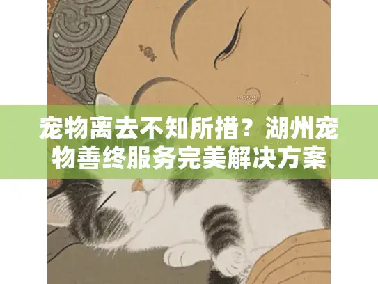 宠物离去不知所措?湖州宠物善终服务完美解决方案 宠物离去不知所措?湖州宠物善终服务完美解决方案
