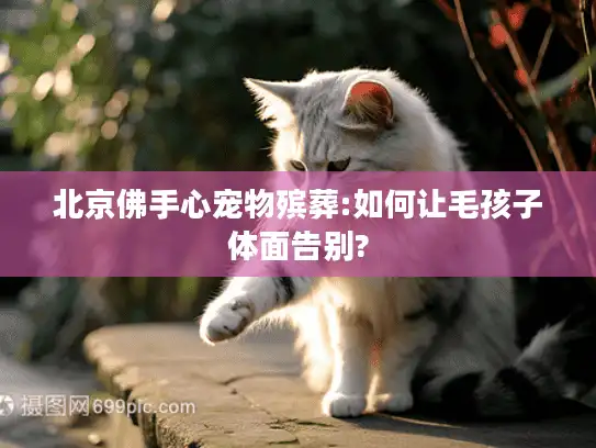 北京佛手心宠物殡葬:如何让毛孩子体面告别?