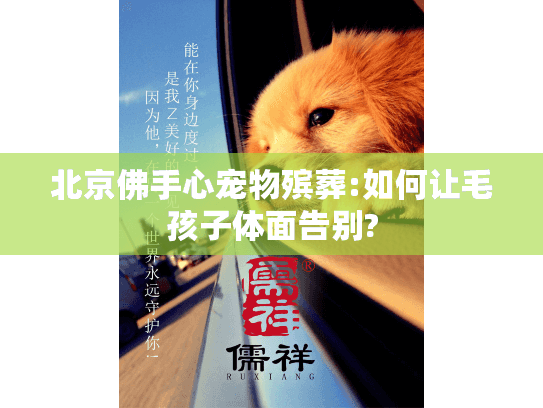 北京佛手心宠物殡葬:如何让毛孩子体面告别?