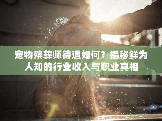 宠物殡葬师待遇如何？揭秘鲜为人知的行业收入与职业真相