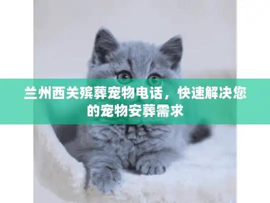 兰州西关殡葬宠物电话，快速解决您的宠物安葬需求