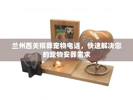 兰州西关殡葬宠物电话，快速解决您的宠物安葬需求