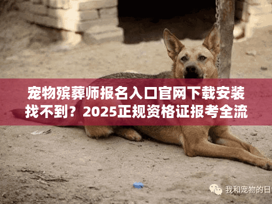 宠物殡葬师报名入口官网下载安装找不到？2025正规资格证报考全流程+独家渠道分享
