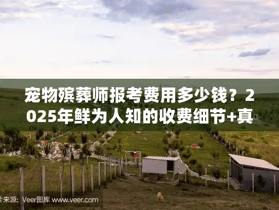 宠物殡葬师报考费用多少钱？2025年鲜为人知的收费细节+真实案例拆解