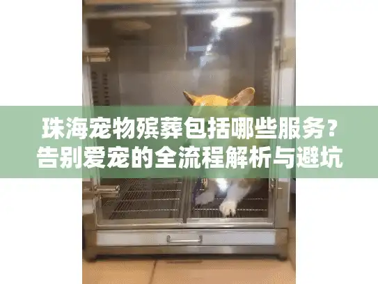 珠海宠物殡葬包括哪些服务？告别爱宠的全流程解析与避坑指南