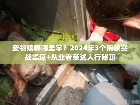 宠物殡葬哪里学?2024年3个稀缺实战渠道+从业者亲述入行秘籍 宠物殡葬哪里学?2024年3个稀缺实战渠道+从业者亲述入行秘籍