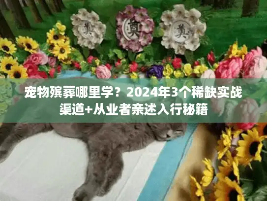 宠物殡葬哪里学?2024年3个稀缺实战渠道+从业者亲述入行秘籍 宠物殡葬哪里学?2024年3个稀缺实战渠道+从业者亲述入行秘籍