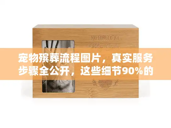 宠物殡葬流程图片，真实服务步骤全公开，这些细节90%的人不知道