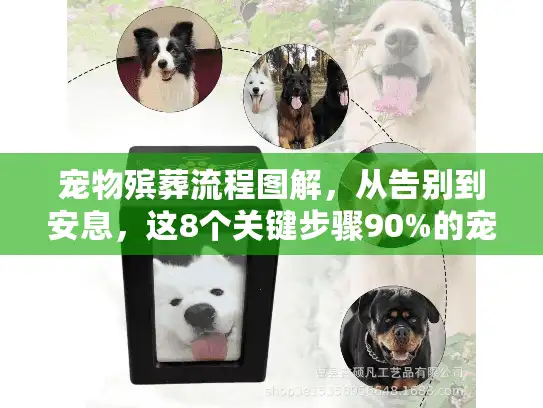 宠物殡葬流程图解，从告别到安息，这8个关键步骤90%的宠主都不知道？