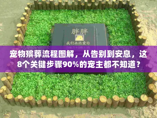 宠物殡葬流程图解，从告别到安息，这8个关键步骤90%的宠主都不知道？