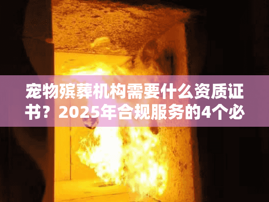 宠物殡葬机构需要什么资质证书？2025年合规服务的4个必备证件（附查询方法）
