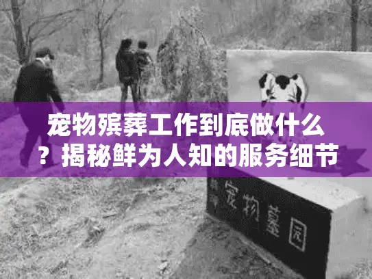 宠物殡葬工作到底做什么？揭秘鲜为人知的服务细节与真实案例