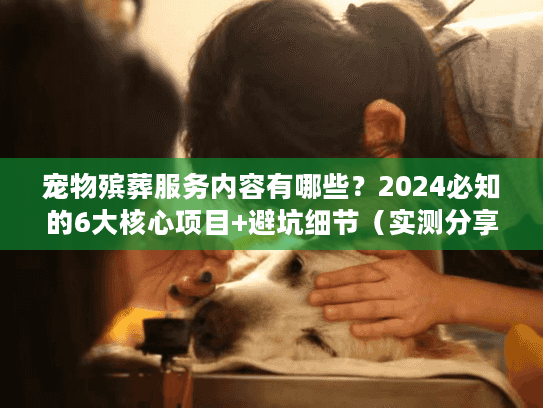 宠物殡葬服务内容有哪些？2024必知的6大核心项目+避坑细节（实测分享）