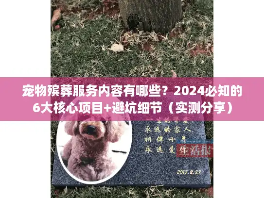 宠物殡葬服务内容有哪些？2024必知的6大核心项目+避坑细节（实测分享）