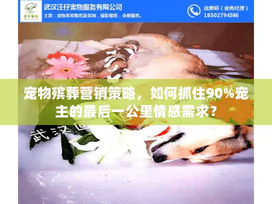 宠物殡葬营销策略，如何抓住90%宠主的最后一公里情感需求？