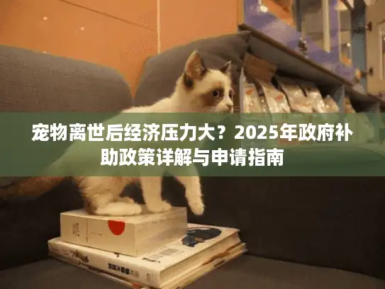 宠物离世后经济压力大？2025年政府补助政策详解与申请指南