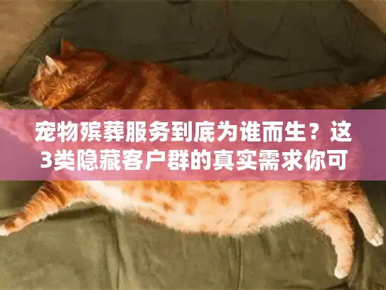 宠物殡葬服务到底为谁而生?这3类隐藏客户群的真实需求你可能从未注意 宠物殡葬服务到底为谁而生?这3类隐藏客户群的真实需求你可能从未注意