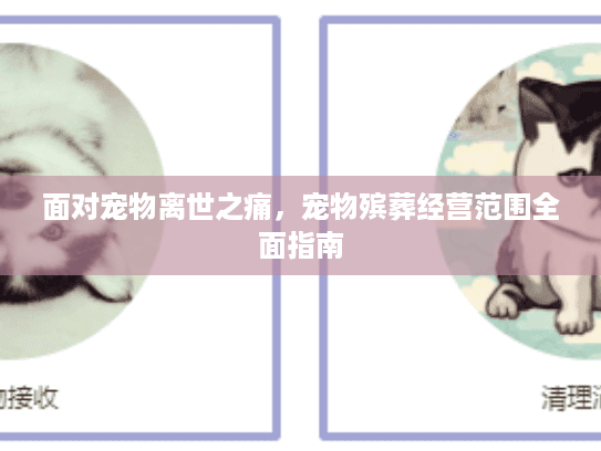 面对宠物离世之痛，宠物殡葬经营范围全面指南