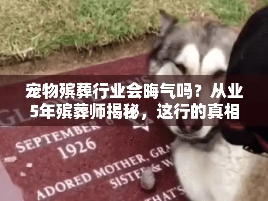 宠物殡葬行业会晦气吗？从业5年殡葬师揭秘，这行的真相远比你想的温暖