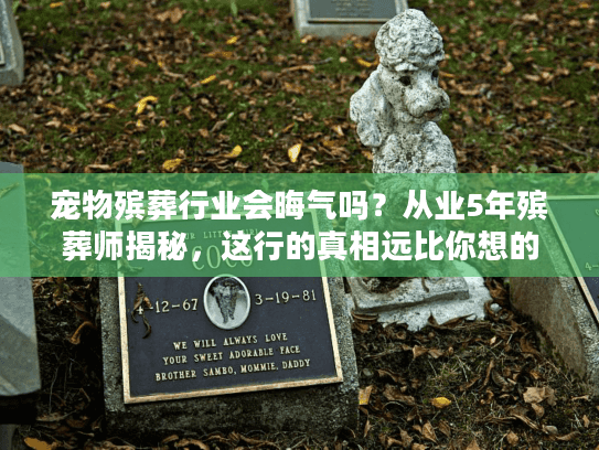 宠物殡葬行业会晦气吗？从业5年殡葬师揭秘，这行的真相远比你想的温暖