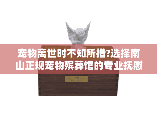 宠物离世时不知所措?选择南山正规宠物殡葬馆的专业抚慰 宠物离世时不知所措?选择南山正规宠物殡葬馆的专业抚慰
