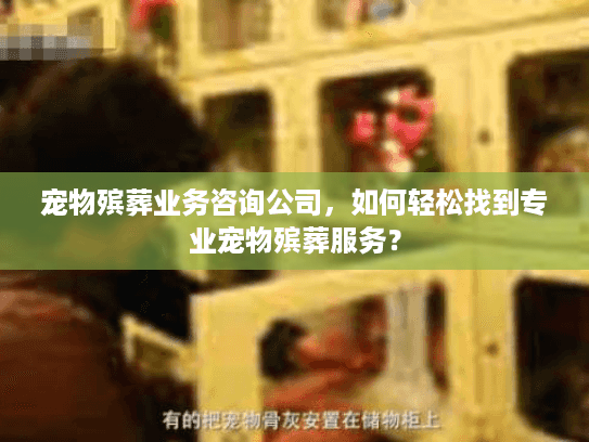 宠物殡葬业务咨询公司，如何轻松找到专业宠物殡葬服务？