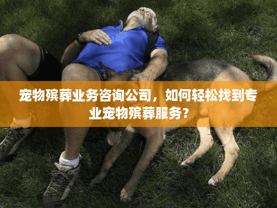宠物殡葬业务咨询公司，如何轻松找到专业宠物殡葬服务？