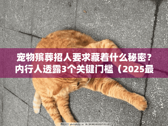 宠物殡葬招人要求藏着什么秘密?内行人透露3个关键门槛(2025最新) 宠物殡葬招人要求藏着什么秘密?内行人透露3个关键门槛(2025最新)