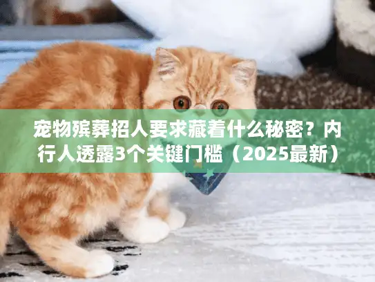 宠物殡葬招人要求藏着什么秘密?内行人透露3个关键门槛(2025最新) 宠物殡葬招人要求藏着什么秘密?内行人透露3个关键门槛(2025最新)