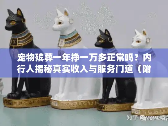 宠物殡葬一年挣一万多正常吗？内行人揭秘真实收入与服务门道（附视频案例）