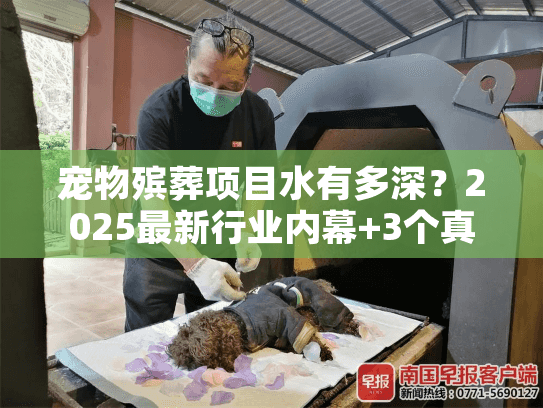 宠物殡葬项目水有多深?2025最新行业内幕+3个真实案例教你避坑 宠物殡葬项目水有多深?2025最新行业内幕+3个真实案例教你避坑