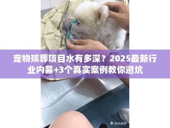 宠物殡葬项目水有多深?2025最新行业内幕+3个真实案例教你避坑 宠物殡葬项目水有多深?2025最新行业内幕+3个真实案例教你避坑