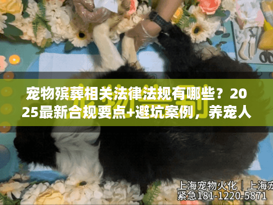 宠物殡葬相关法律法规有哪些？2025最新合规要点+避坑案例，养宠人必看！