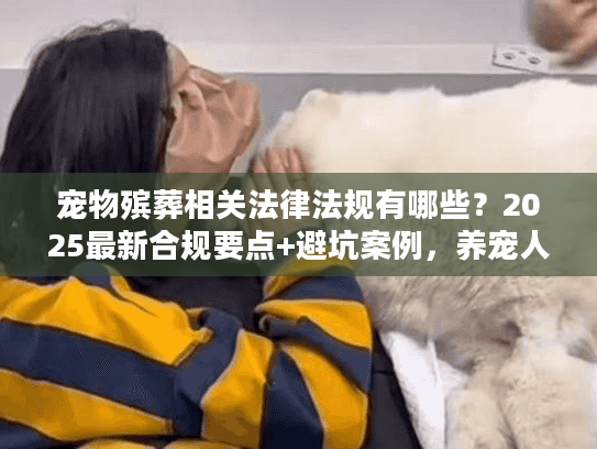 宠物殡葬相关法律法规有哪些？2025最新合规要点+避坑案例，养宠人必看！