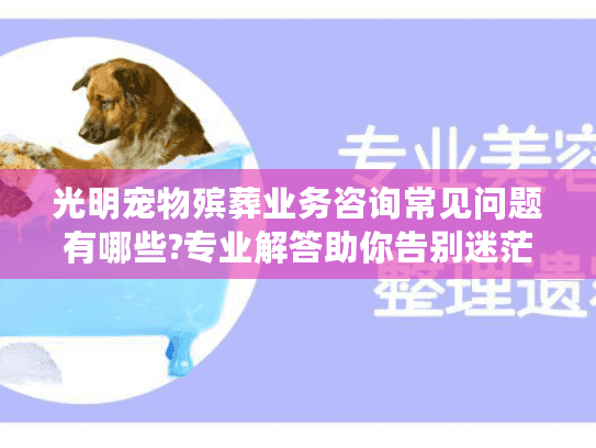 光明宠物殡葬业务咨询常见问题有哪些?专业解答助你告别迷茫