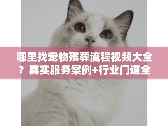 哪里找宠物殡葬流程视频大全？真实服务案例+行业门道全揭秘