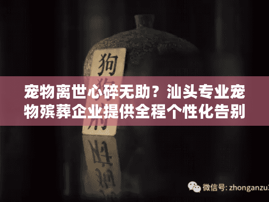 宠物离世心碎无助？汕头专业宠物殡葬企业提供全程个性化告别服务