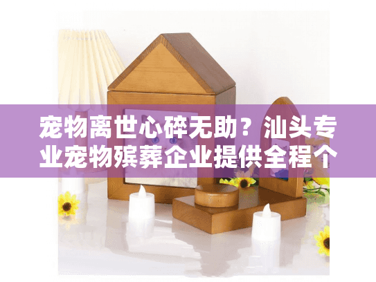 宠物离世心碎无助？汕头专业宠物殡葬企业提供全程个性化告别服务