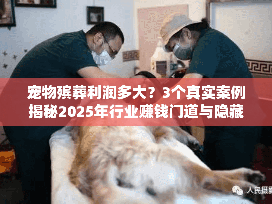 宠物殡葬利润多大？3个真实案例揭秘2025年行业赚钱门道与隐藏成本