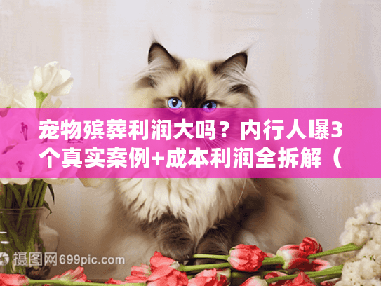 宠物殡葬利润大吗？内行人曝3个真实案例+成本利润全拆解（2025最新）