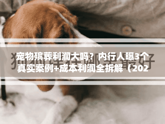 宠物殡葬利润大吗？内行人曝3个真实案例+成本利润全拆解（2025最新）