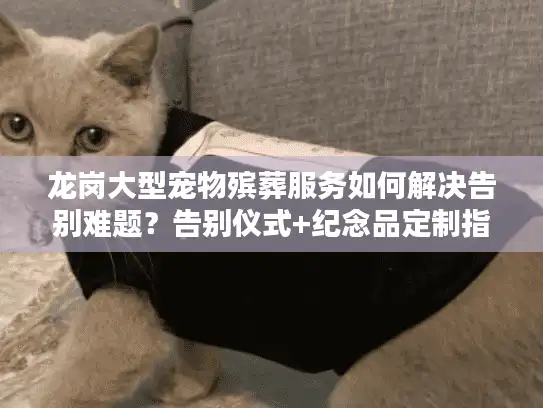 龙岗大型宠物殡葬服务如何解决告别难题?告别仪式+纪念品定制指南 龙岗大型宠物殡葬服务如何解决告别难题?告别仪式+纪念品定制指南