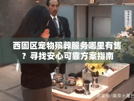 西固区宠物殡葬服务哪里有售?寻找安心可靠方案指南 西固区宠物殡葬服务哪里有售?寻找安心可靠方案指南