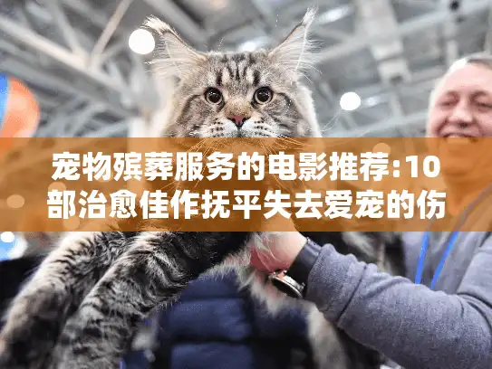 宠物殡葬服务的电影推荐:10部治愈佳作抚平失去爱宠的伤痛