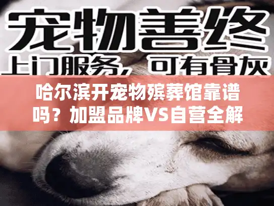 哈尔滨开宠物殡葬馆靠谱吗？加盟品牌VS自营全解析