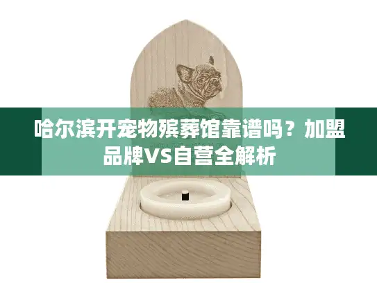 哈尔滨开宠物殡葬馆靠谱吗？加盟品牌VS自营全解析