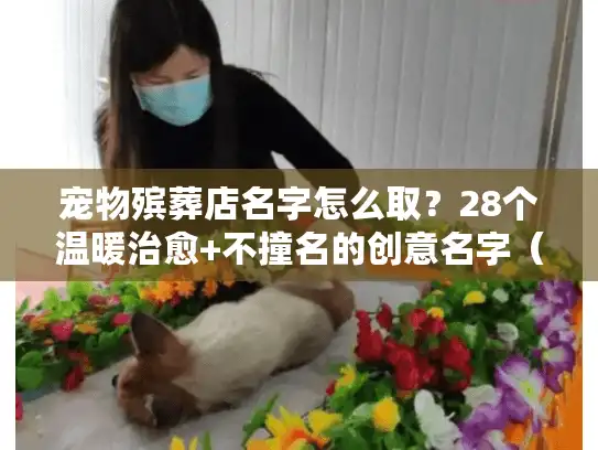 宠物殡葬店名字怎么取？28个温暖治愈+不撞名的创意名字（含命名逻辑）