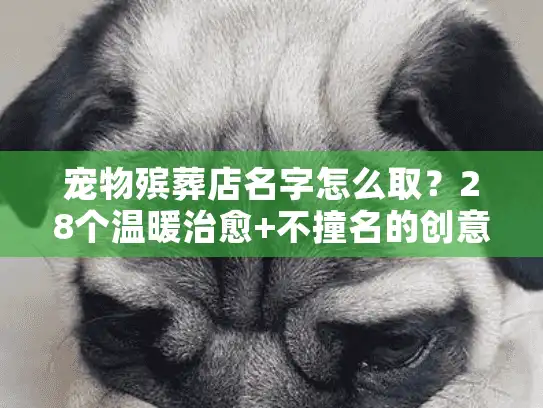 宠物殡葬店名字怎么取？28个温暖治愈+不撞名的创意名字（含命名逻辑）